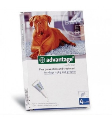 ADVANTAGE 400 (+ 25KG, 4 PIPETAS)